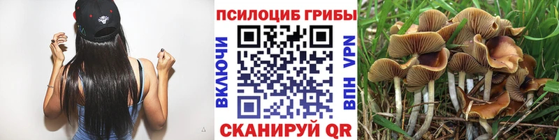 Галлюциногенные грибы Cubensis Усть-Кут